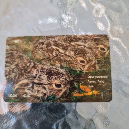 Collectible hedgehog telecard used 03/2002 120,000