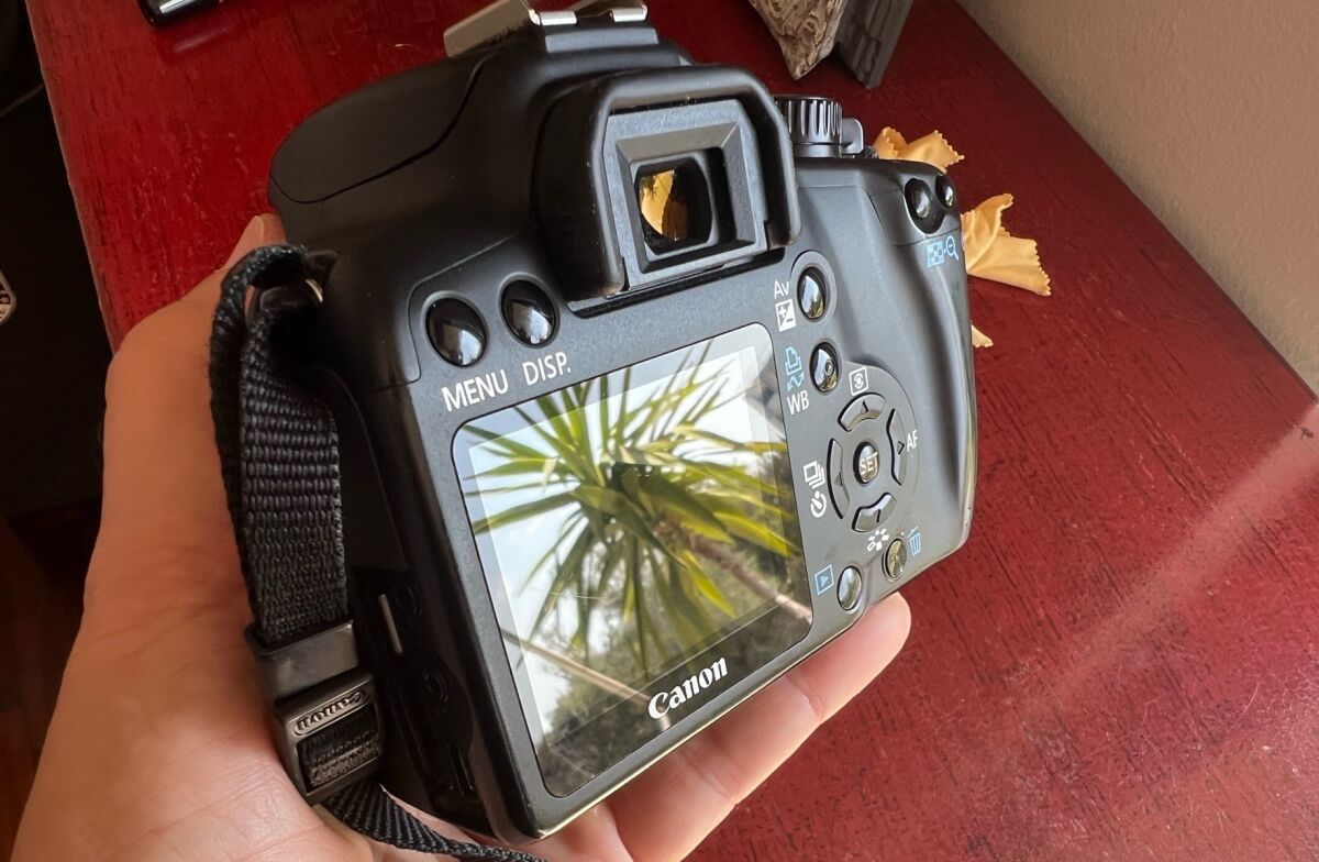 Canon Japan EOS Rebel XS EOS 1000D… - € 260,00 - Vendora.cy