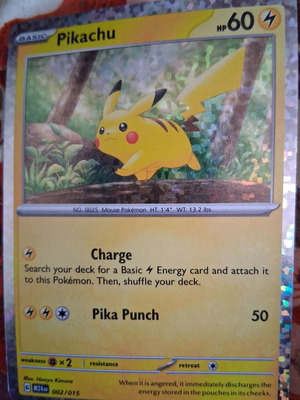 Pokemon Pikachu Card new, holographic design
