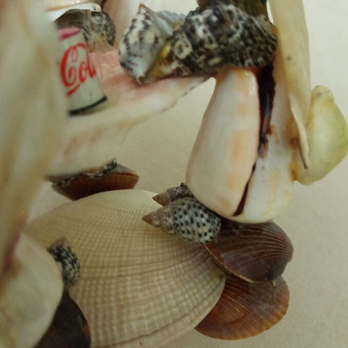 Handmade decorative turtles used, missing head on fourth