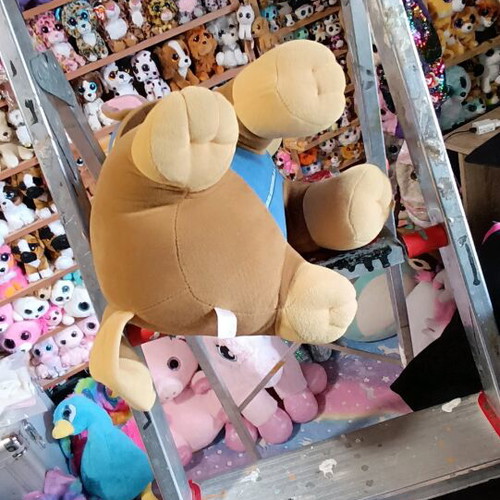 Big plush TY like new