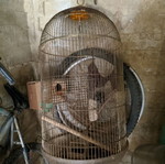 Large birdcage like new