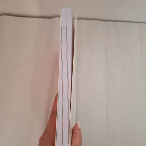 Daily diaries pack of 3 with hardcover like new