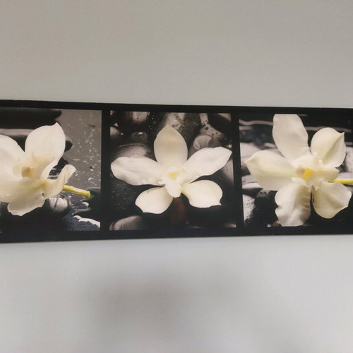 Canvas with water lilies used