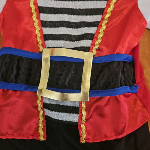 Baby pirate carnival costume like new