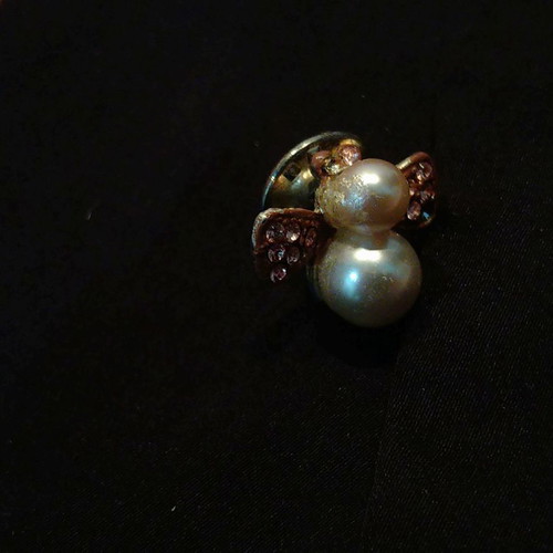 Bee Pin Set