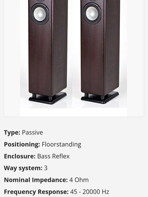 Chario Syntar 530r floorstanding speakers like new