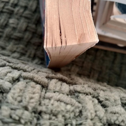 The Secret of the Red Fox Anthony Hyde used book