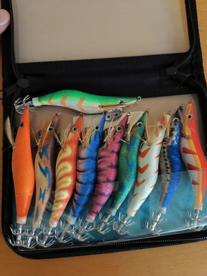 Eging Squid Jigs Set of 10 with Carrying Case New