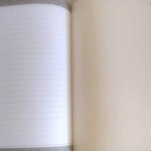 Gorjuss Santoro notebook like new with transparent jacket