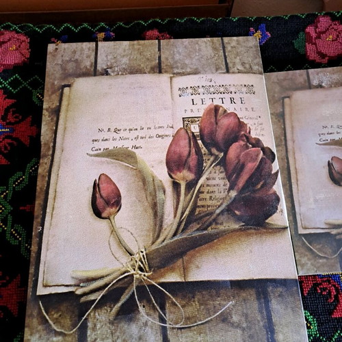 Frames used, set of 2 pieces
