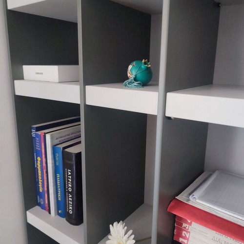 Modern bookcase new, matte lacquer, gray tones