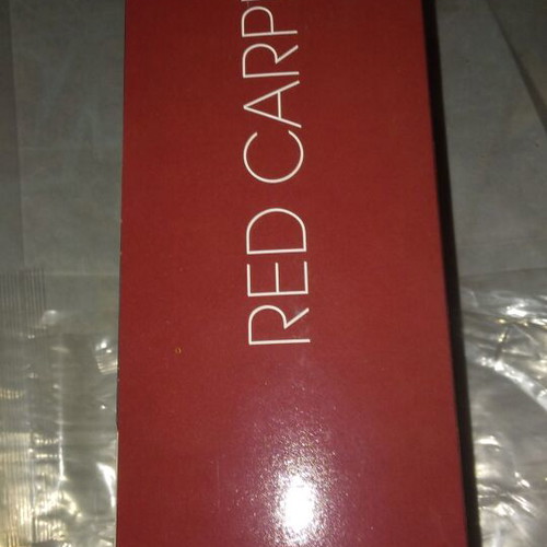 Barbie Jennifer Lopez Red Carpet doll like new