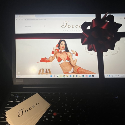 Eshop of Women's Lingerie with Brand and Stock