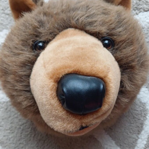 Decorative wall bear like new with furry texture