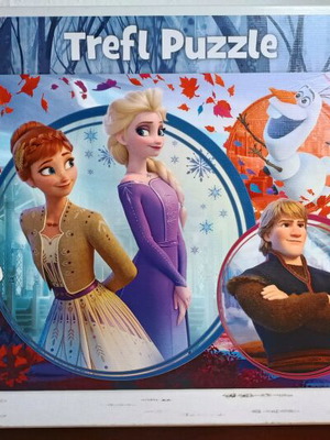 Frozen Trefl puzzle used