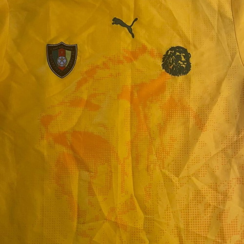Cameroon 06-08 Puma jersey used, yellow