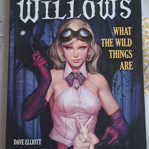 The Weirding Willows Graphic Novel New