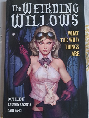 The Weirding Willows Graphic Novel New