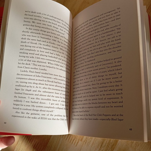 Red Hot Chili Peppers The Making of Blood Sugar Sex Magic book like new, English