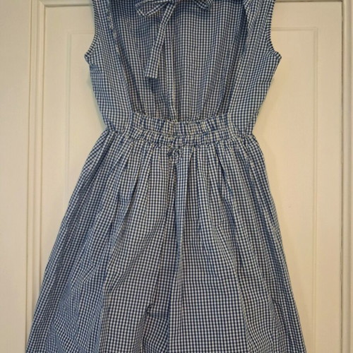 Regalinas sleeveless blue and white check dress