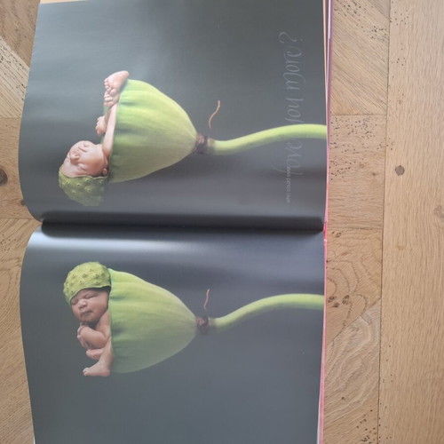 Anne Geddes art books set of 2 used with music CD