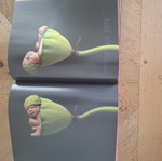 Anne Geddes art books set of 2 used with music CD