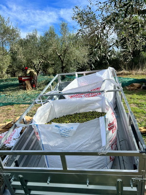 Τρέιλερ εισαγωγής σαν καινούργιο με άξονα 1000 κιλά, φρένα και μουσαμά