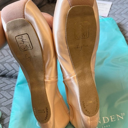 Gaynor Minden Pointe Shoes 9.5 Wide new with 4 boxes and feather shank SC-9.5W4FDH