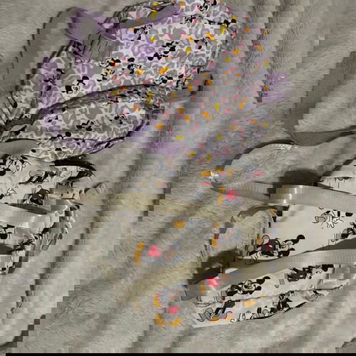 Small Minnie and Mickey school bags like new for preschool ages