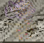 Small Minnie and Mickey school bags like new for preschool ages