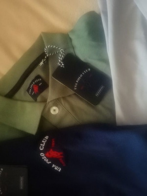 Polo Club polos new, sizes L and XL, pack of 3