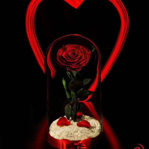 Red Eternal Rose in Large Glass Dome made to order