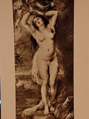Rubens 776 postcard new