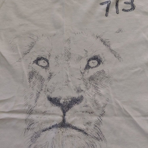 Zara t shirt 10 years used, white, size 140 cm