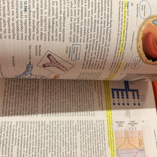 Vander's Physiology of the Human Book new condition