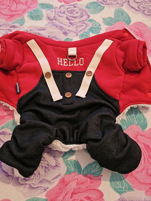 Petcircle dog jumpsuit Medium like new, red/jeans