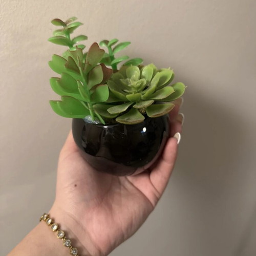 Decorative plant with glass pot like new, plastic leaves