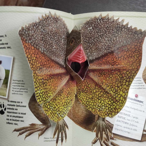 Children's 3D book with animals in excellent condition