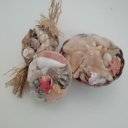 Decorative seashells set with bamboo basket and natural shells