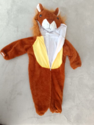 Baby lion costume like new for 12-15 months
