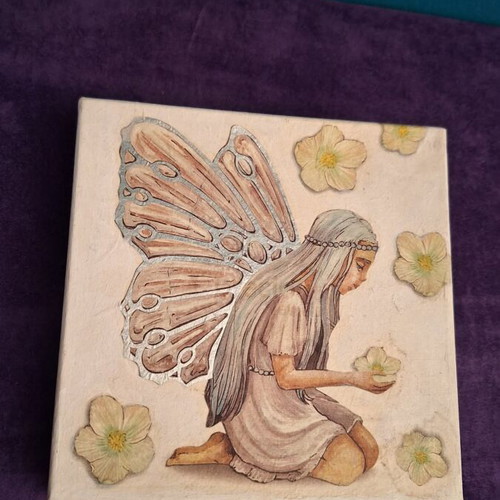 Fairy Gift Box new