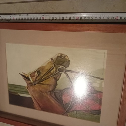 3D embossed horse painting like new, made in Italy