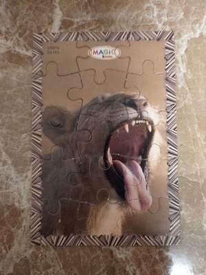 Magic MPG DE Mini Puzzle new, 15 pieces