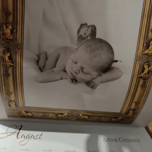 Anne Geddes 2009 calendar like new with photographic material