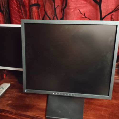 EIZO DuraVision DV1924 19" monitor like new, professional LCD