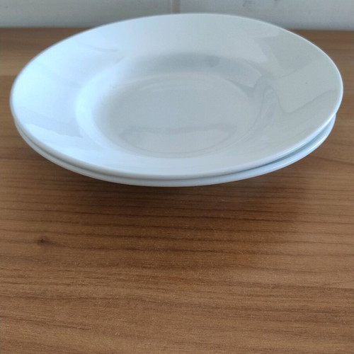 Steinbach set of 2 large soup and shallow serving plates like new