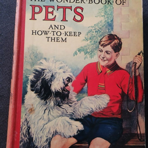 Pets and How to Keep Them book used