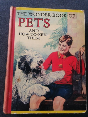 Pets and How to Keep Them book used