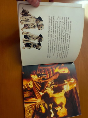 Dalmatian book new